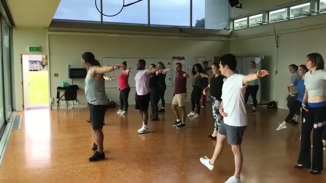 Vivio in Action